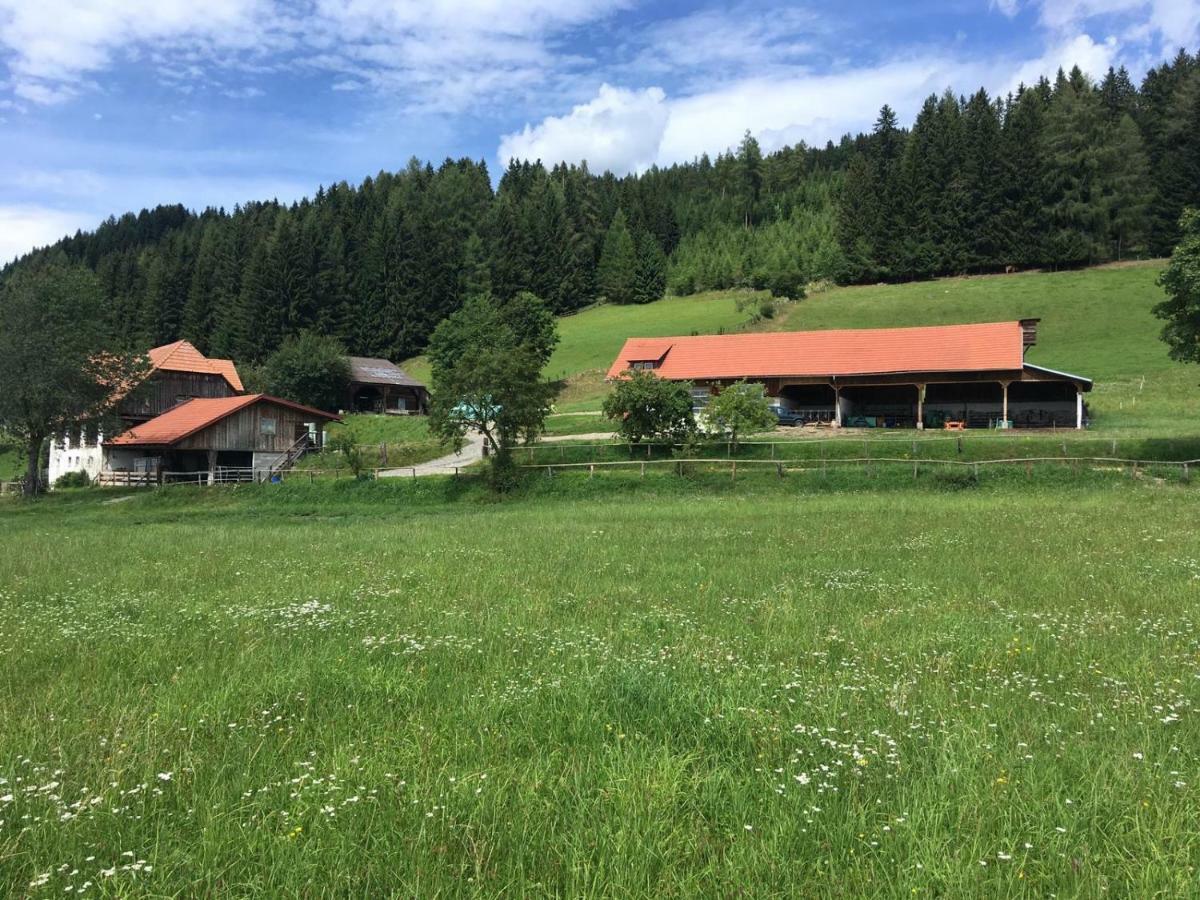 MühlenUrlaub Am Moarbauerhof公寓 外观 照片
